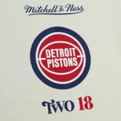 My Towns Two|18 Graphic Hoody Detroit Pistons