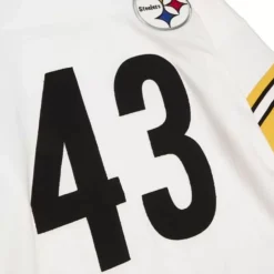 Name & Number Long Sleeve Tee Pittsburgh Steelers 2006 Troy Polamalu