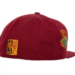 Northern Lights Fitted Hwc Charlotte Hornets