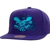 Now You See Me Snapback Hwc Charlotte Hornets