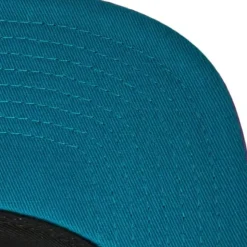 Nylon Szn Deadstock Snapback Hwc Charlotte Hornets