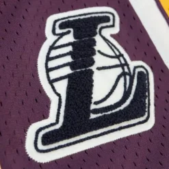 Off Court Chenille Swingman Los Angeles Lakers 2009-10 Shorts