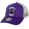 Off The Backboard Trucker Snapback Hwc Charlotte Hornets