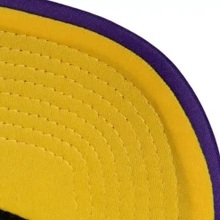Off The Backboard Trucker Snapback Los Angeles Lakers