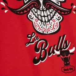 Ofrenda Tee Chicago Bulls