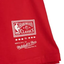 Ofrenda Tee Chicago Bulls