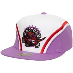 Overhead Snapback Hwc Toronto Raptors