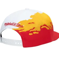 Paintbrush Snapback Hwc Atlanta Hawks