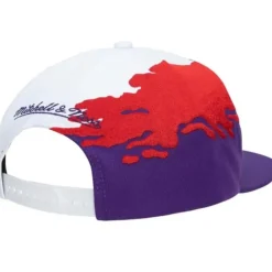 Paintbrush Snapback Hwc Toronto Raptors