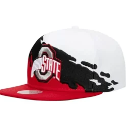 Paintbrush Snapback Ohio State