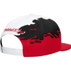 Paintbrush Snapback Ohio State