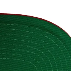 Paintbrush Snapback San Francisco 49Ers