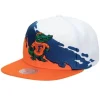 Paintbrush Snapback University Of Florida