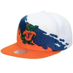 Paintbrush Snapback University Of Florida