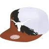 Paintbrush Snapback University Of Texas At Austin