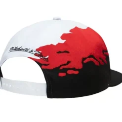 Paintbrush Snapback Unlv