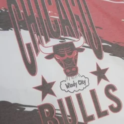 Paintbrush Sublimated Ss Tee Chicago Bulls