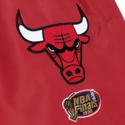 Paintbrush Warmup Pant Chicago Bulls