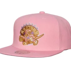 Pastel Snapback Hwc Toronto Raptors