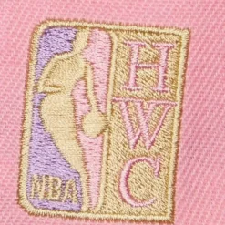 Pastel Snapback Hwc Toronto Raptors