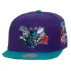 Patch Overload Snapback Hwc Charlotte Hornets