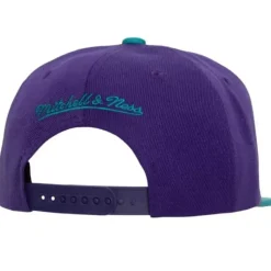 Patch Overload Snapback Hwc Charlotte Hornets