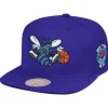 Patches 2 Tone Hwc Snapback Charlotte Hornets