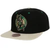 Pin Drop Snapback Boston Celtics