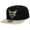 Pin Drop Snapback Charlotte Hornets