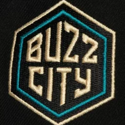 Pin Drop Snapback Charlotte Hornets