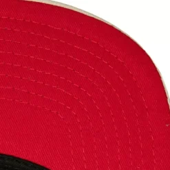 Pin Drop Snapback Houston Rockets