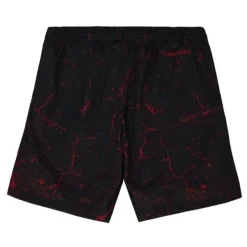 Player Burst Mesh Shorts Chicago Bulls Dennis Rodman