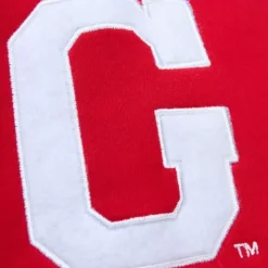 Pre-Game Ss Fleece Hoodie University Of Georgia