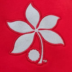 Pre-Game Ss Fleece Hoodie Ohio State