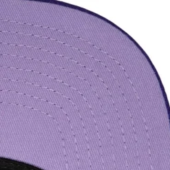 Psychedelic Snapback Hwc Los Angeles Lakers