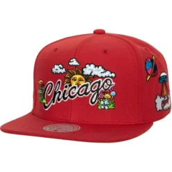 Psychedelic Snapback Hwc Chicago Bulls
