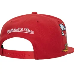 Psychedelic Snapback Hwc Chicago Bulls