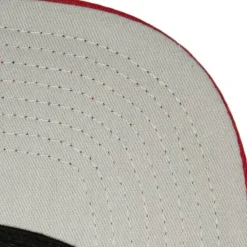 Psychedelic Snapback Hwc Chicago Bulls