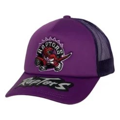 Puff The Magic Trucker Snapback Hwc Toronto Raptors