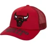 Puff The Magic Trucker Snapback Hwc Chicago Bulls
