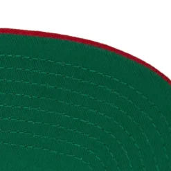 Rear Script Deadstock Snapback Chicago Bulls