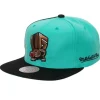 Rear Script Deadstock Snapback Hwc Vancouver Grizzlies
