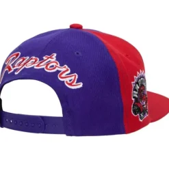 Rear Script Deadstock Snapback Hwc Toronto Raptors