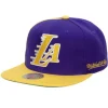 Rear Script Deadstock Snapback Los Angeles Lakers