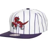 Retro Pinstripe Snapback Hwc Toronto Raptors