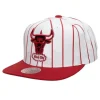 Retro Pinstripe Snapback Hwc Chicago Bulls