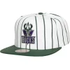 Retro Pinstripe Snapback Hwc Milwaukee Bucks