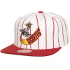 Retro Pinstripe Snapback Hwc Houston Rockets