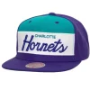 Retro Sport Snapback Hwc Charlotte Hornets