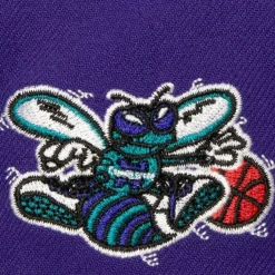 Retro Sport Snapback Hwc Charlotte Hornets